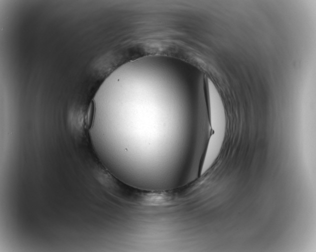 X0000088360574200706051025