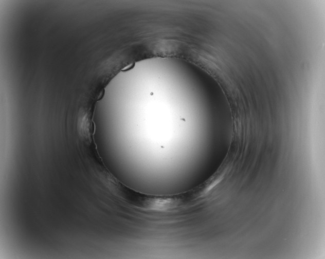 X0000088360575200706051025