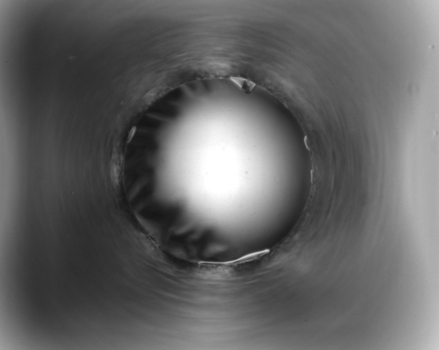 X0000088360576200706051025