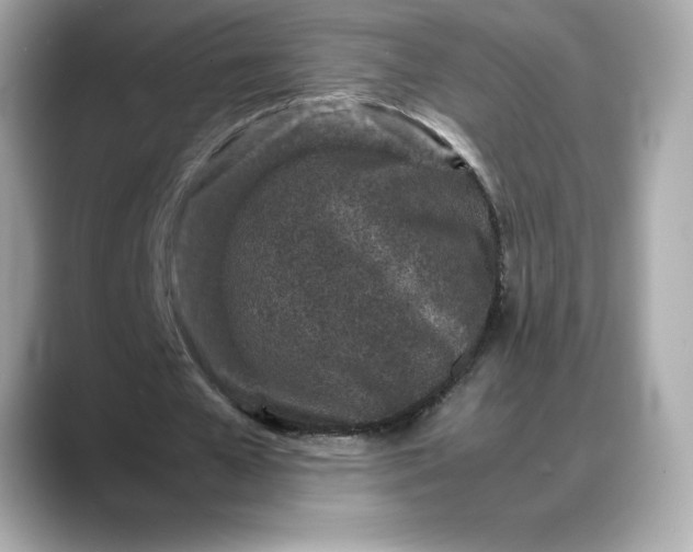 X0000088360577200706051025