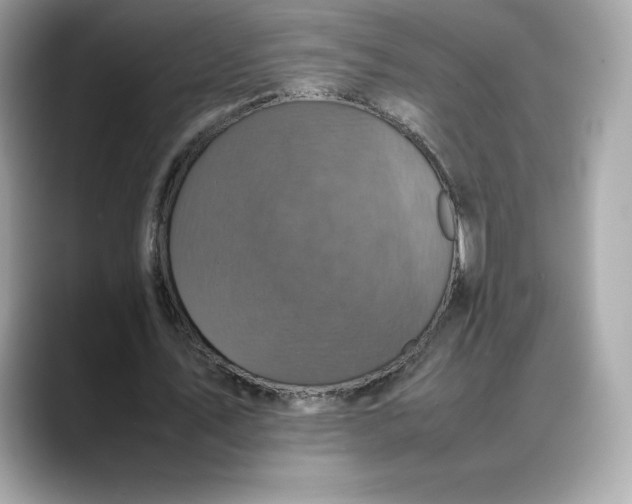 X0000088360579200706051025