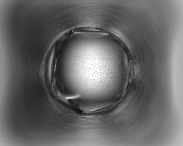 X0000088360580200706051025