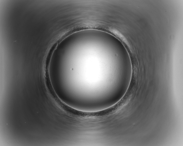 X0000088360581200706051025