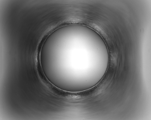 X0000088360582200706051025