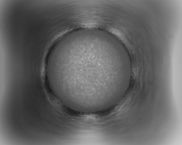 X0000088360583200706051025