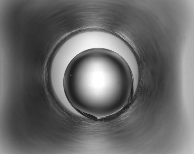 X0000088360584200706051025