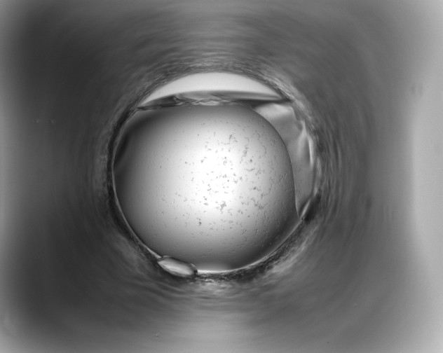 X0000088360585200706051025