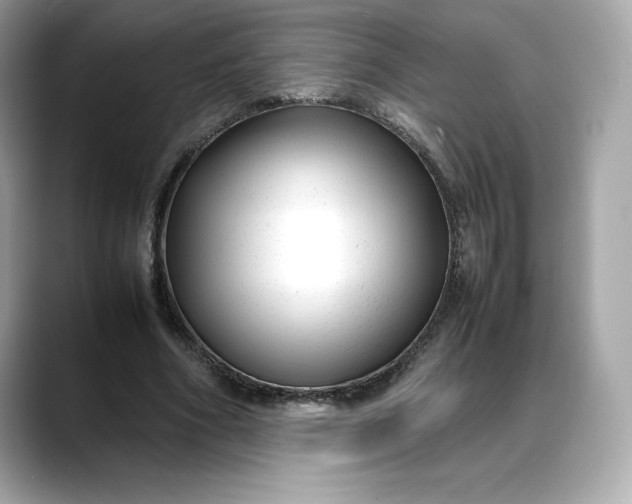 X0000088360586200706051025