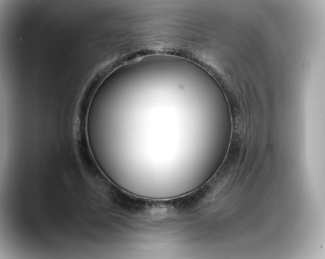 X0000088360587200706051025