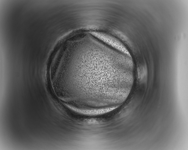 X0000088360588200706051025