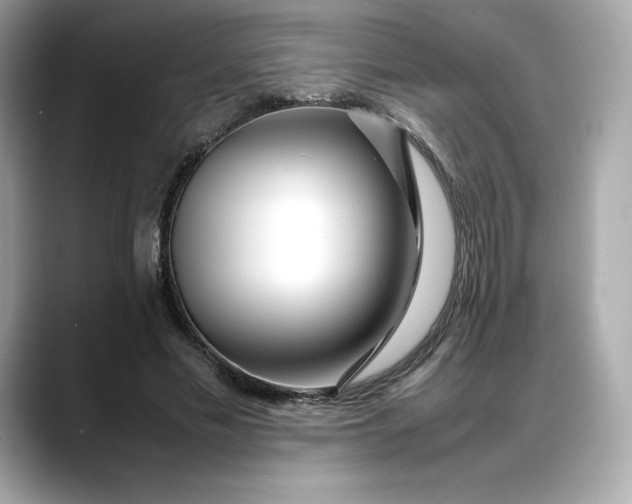 X0000088360589200706051025