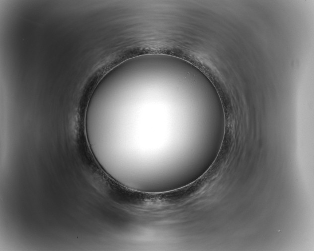 X0000088360591200706051025