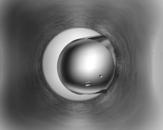 X0000088360593200706051025