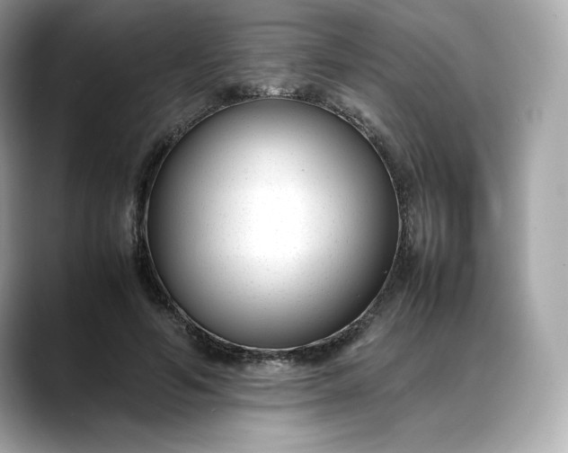 X0000088360594200706051025