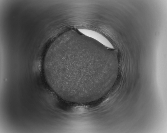 X0000088360595200706051025