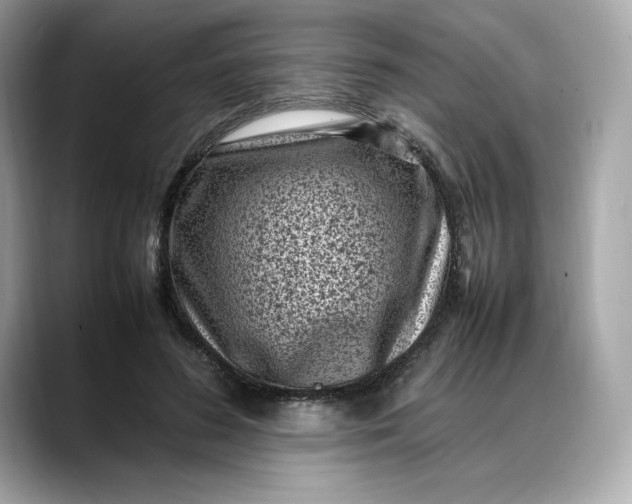 X0000088360596200706051025