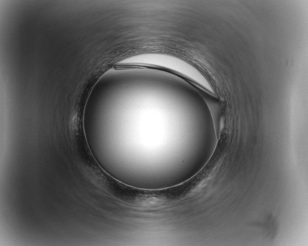 X0000088360597200706051025