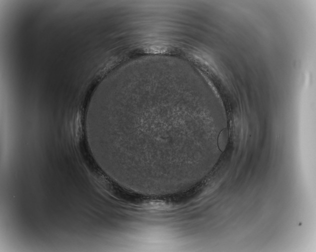 X0000088360598200706051025