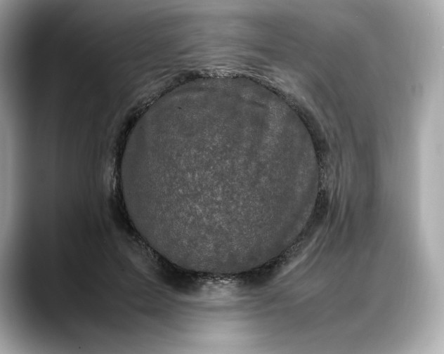 X0000088360599200706051024