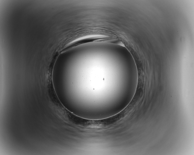 X0000088360601200706051024