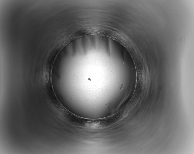 X0000088360602200706051024