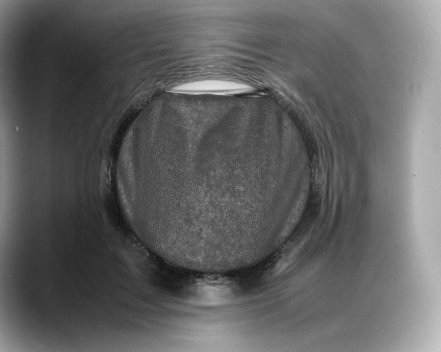 X0000088360603200706051024