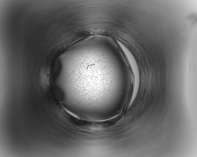 X0000088360604200706051024