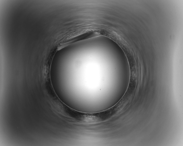 X0000088360605200706051024