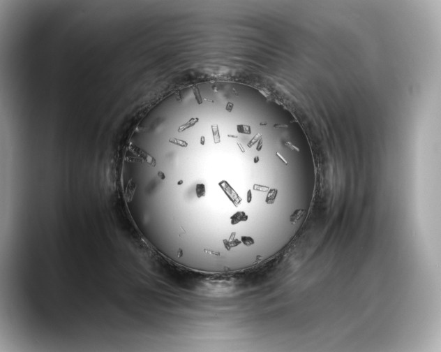 X0000088360606200706051024