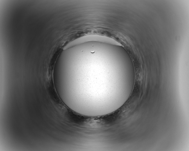 X0000088360607200706051024