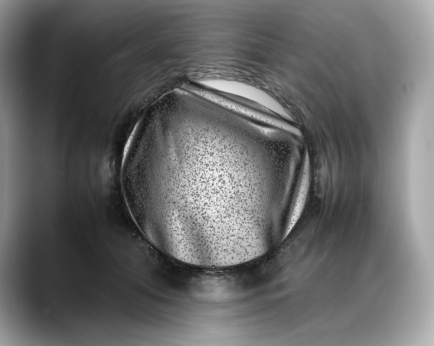 X0000088360608200706051024