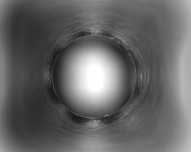 X0000088360609200706051024