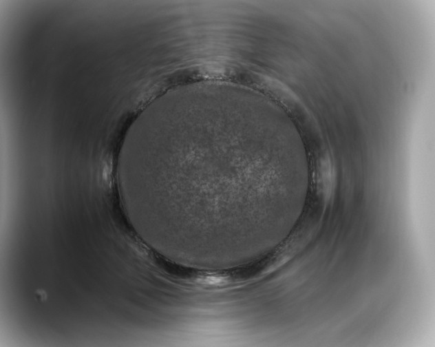 X0000088360610200706051024