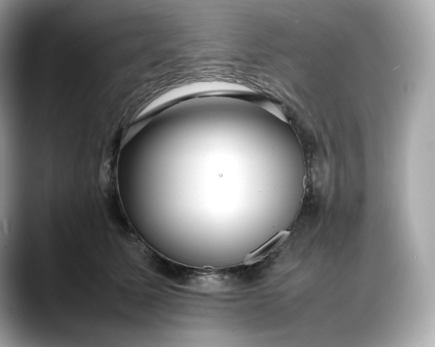 X0000088360611200706051024