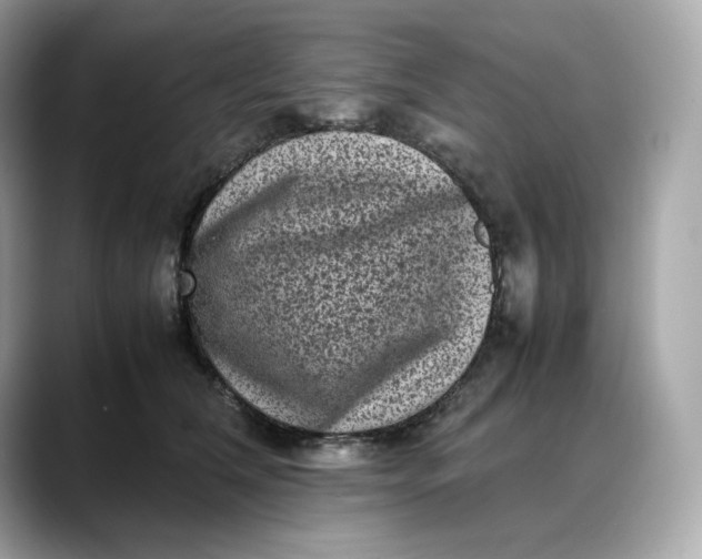 X0000088360612200706051024