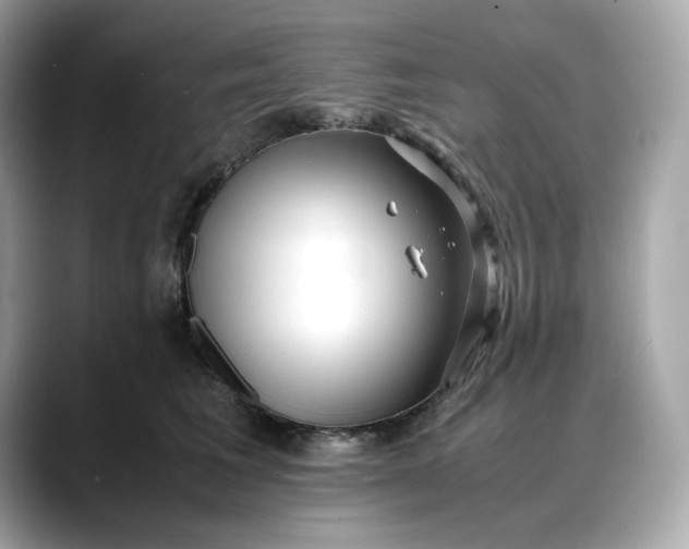 X0000088360613200706051024