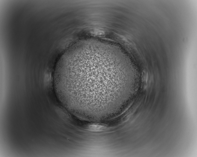 X0000088360614200706051024