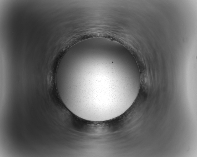 X0000088360615200706051024