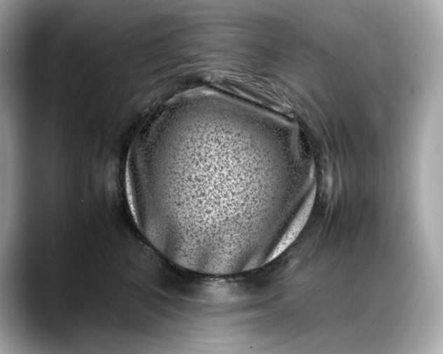 X0000088360616200706051024