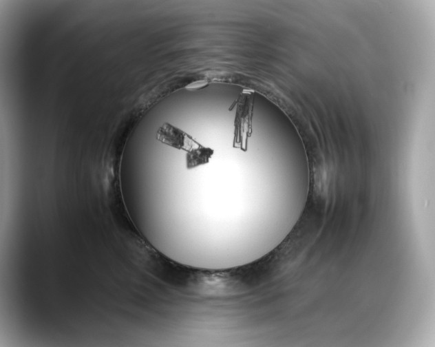 X0000088360618200706051024