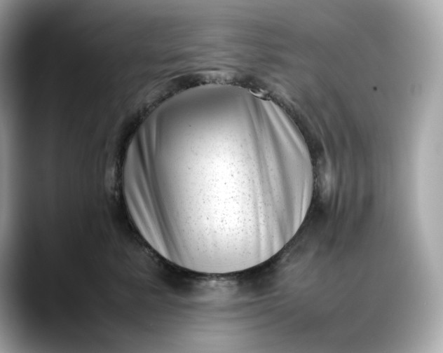 X0000088360619200706051024