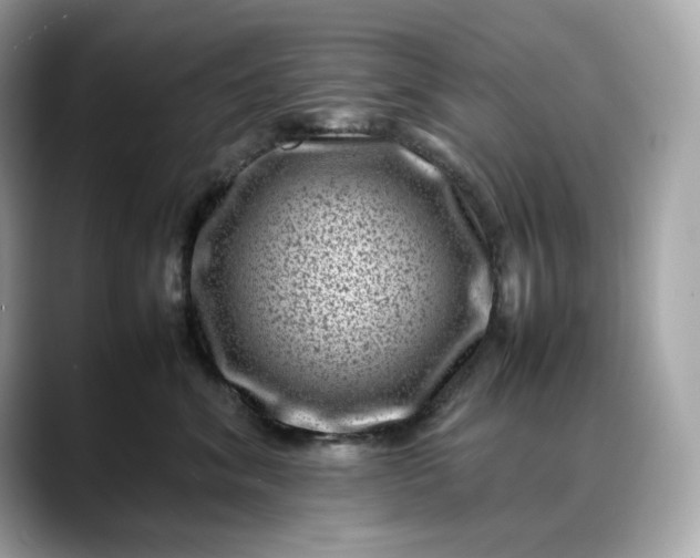 X0000088360620200706051024