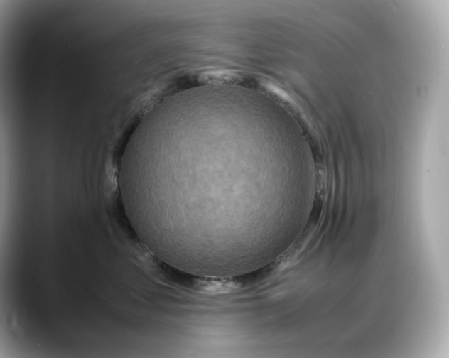 X0000088360621200706051024