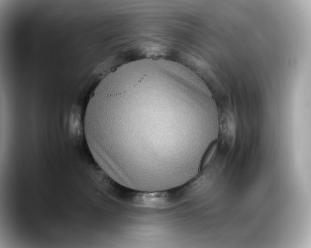 X0000088360622200706051024