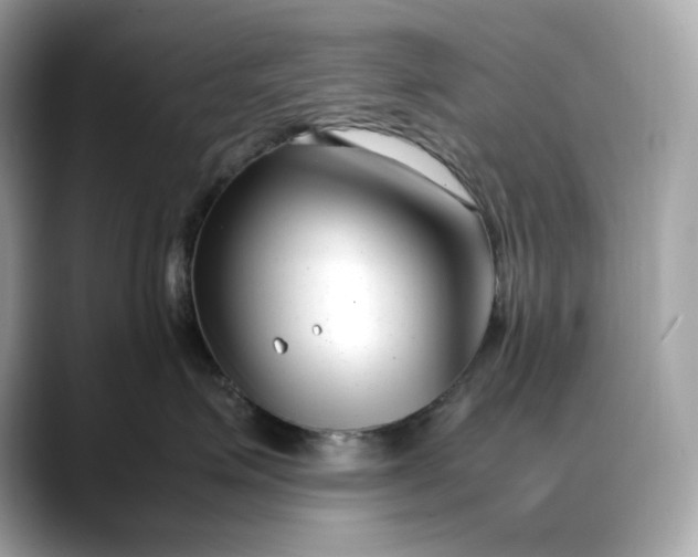 X0000088360623200706051024