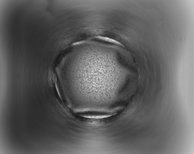 X0000088360624200706051024