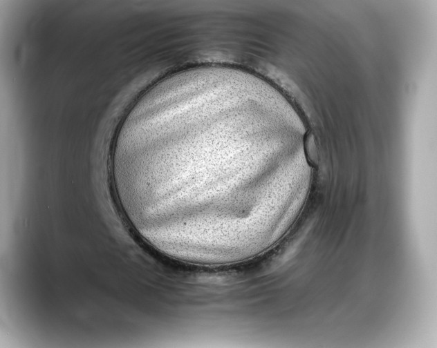 X0000088360625200706051024