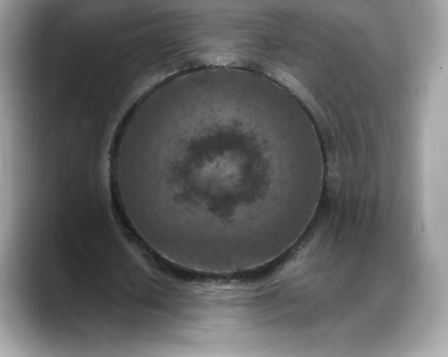 X0000088360626200706051024