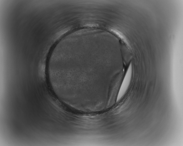 X0000088360627200706051024