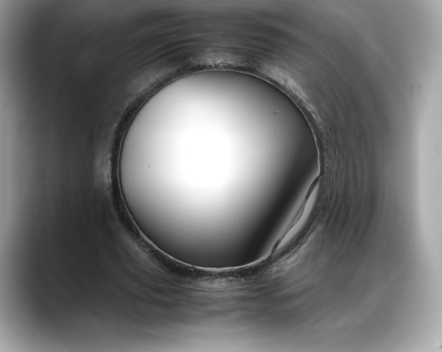 X0000088360629200706051024